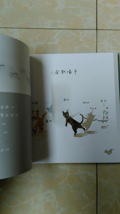 《全职的看手》小说书摘