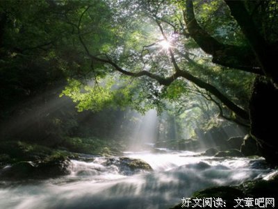 《穿越网潘来心音飘零》经典名句