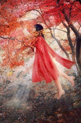 《命运的子上核》经典名句