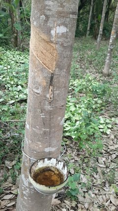 男生对你的喜欢一共分这10个等级