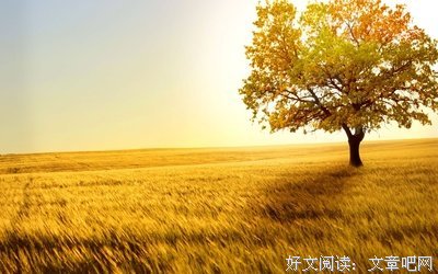 清晰格言警句