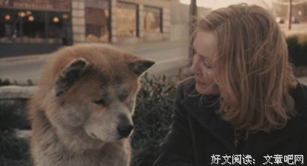 过去了十五年，最好哭的剧情片要数这条中国化的小Q