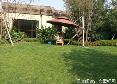 小懒丨“卖一次20万，能救我妈，你就答应了吧”