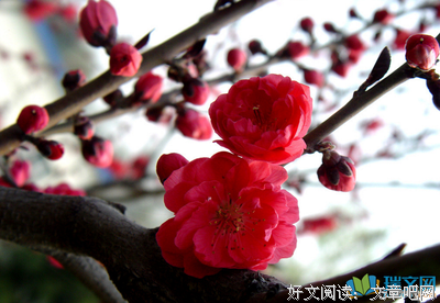 墨香句子