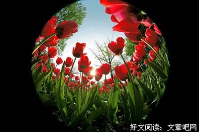 感悟语录
