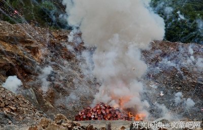 瞬间烟火成灰烬句子