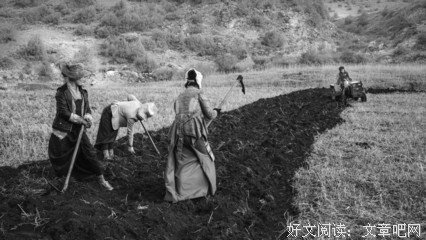 最经典的阿堵的名言名句