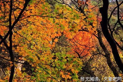 2019风弄的名言