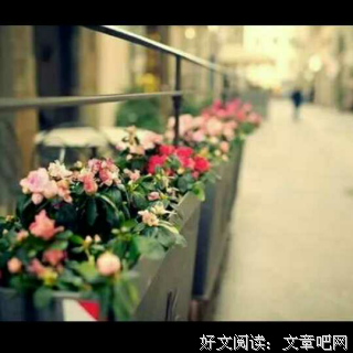 “对方撤回了一条消息......”