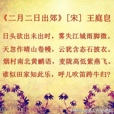 2019龙柒名言
