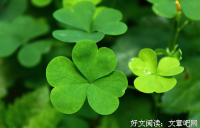 也顾偕名言名句