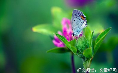 《当你沉睡时》经典语录大全