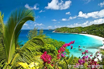 最全的《伊甸》经典的句子大全