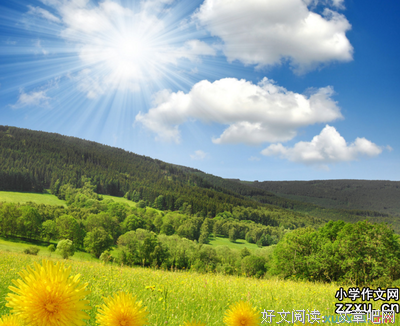 最新的《历史的温度》语录摘抄大全