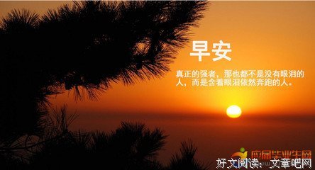 最全的《业物语》经典句子大全