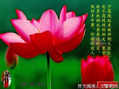 最经典的《重新发现自我》佳句摘抄大全