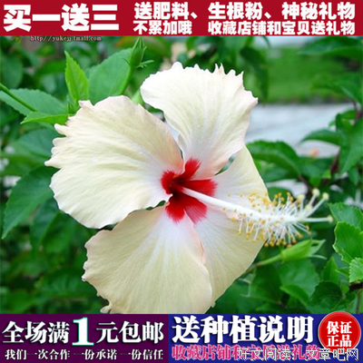 最新的《原则》语录摘抄大全