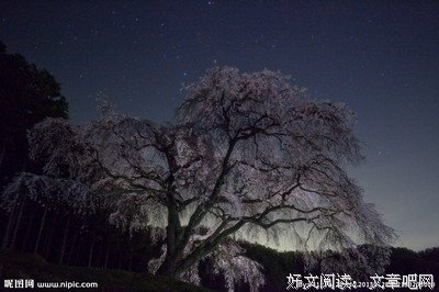 《星辰时刻》名句欣赏大全