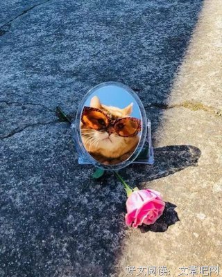 坚决的句子