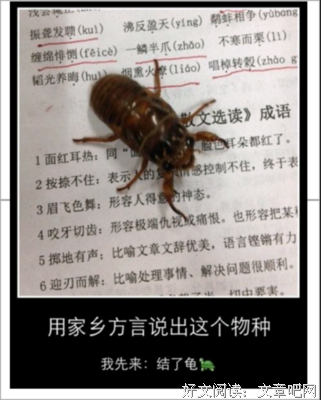 波波的名句_关于波波的名句