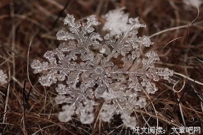 闹闹的名句_关于闹闹的名句