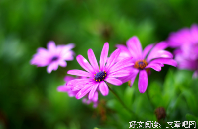 谁又曾真正得到过过去与未来的眷顾