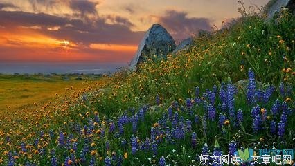 赞·的优美句子