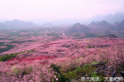 jjf句子大全