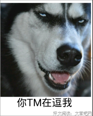 如果囧名句欣赏
