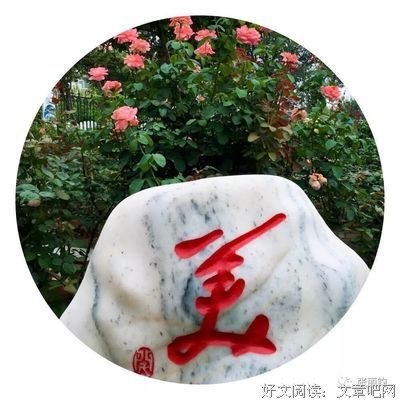 有关张丽钧名言