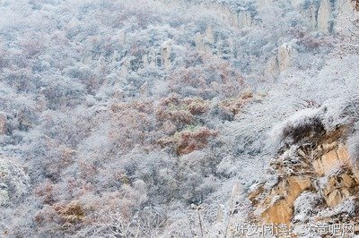 最全的《傲风》佳句摘抄