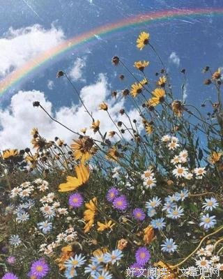 最经典的《初心》经典的句子
