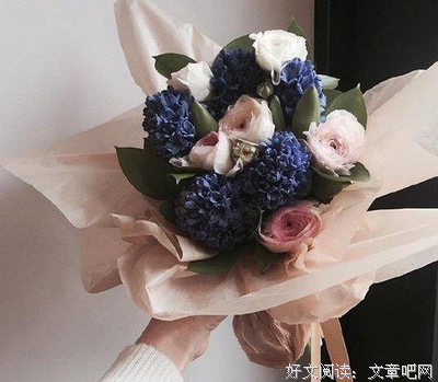 《和谐》经典语录