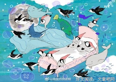 小动物到底有多治愈？｜舒服