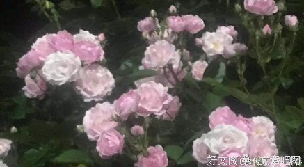 先有好丈夫，才有好妻子