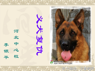 《复仇》经典句子大全