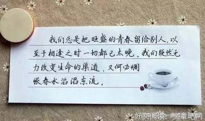 流光容易把人抛。的优美句子