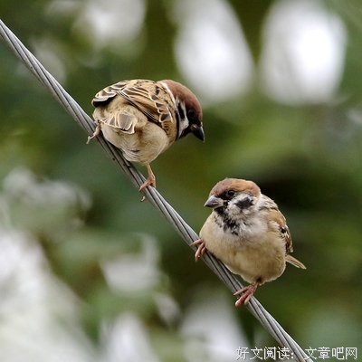 「私语」