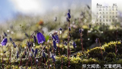 男朋友查了我的开房记录之后…