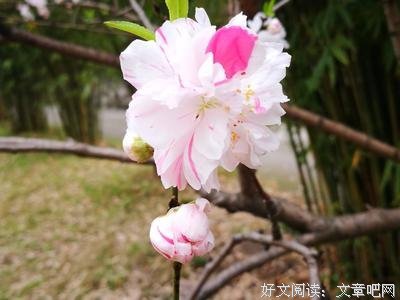 琉璃然会句子