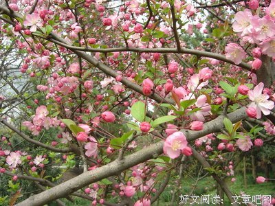 最经典的白墨楼座右铭