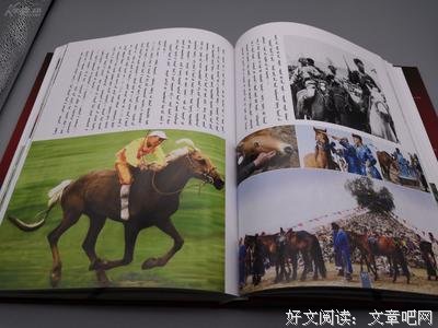 有关砂川美经典句子