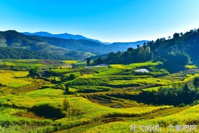 步非烟名言大全