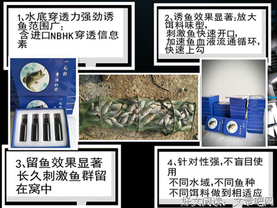 最新的沈鱼藻精彩语录