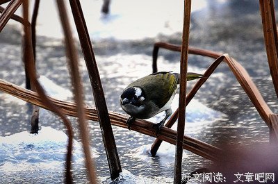最全的海飘雪名言
