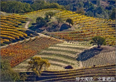 狄更斯的格言