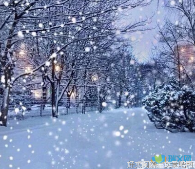 最新的《笃定》经典的句子大全