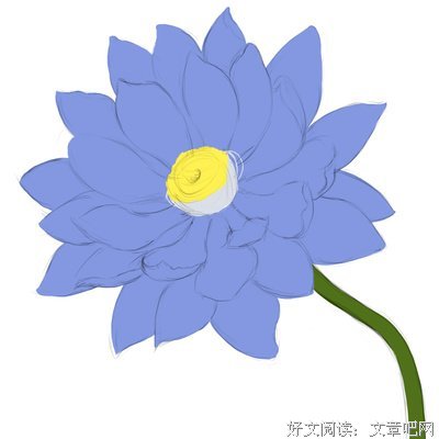 《莲花》好段摘抄
