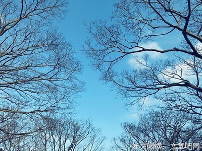 最新的《重生》小说句子大全