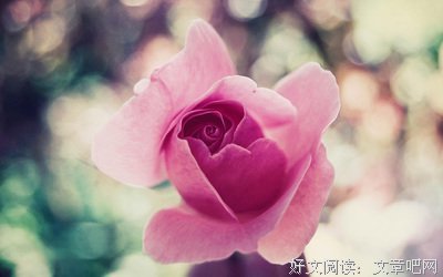 最经典的《The Bible》经典的句子大全